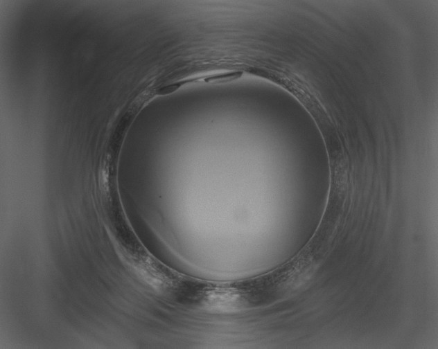 X0000084020214200702232240