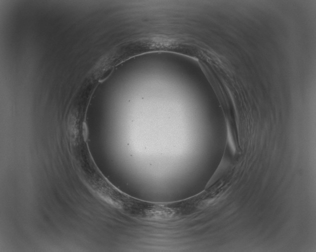 X0000084020215200702232240