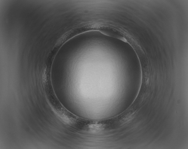 X0000084020216200702232240