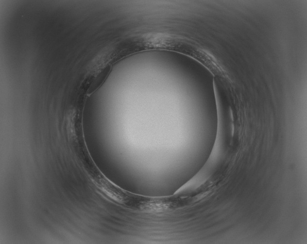 X0000084020217200702232240