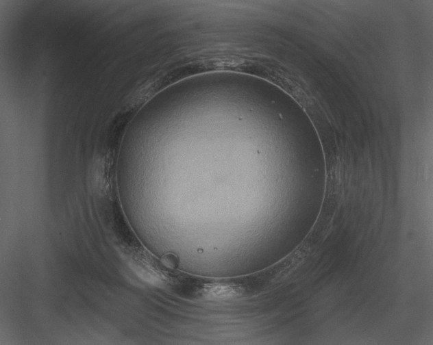 X0000084020218200702232240