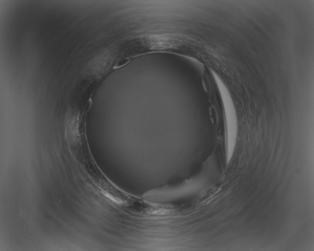 X0000084020219200702232240