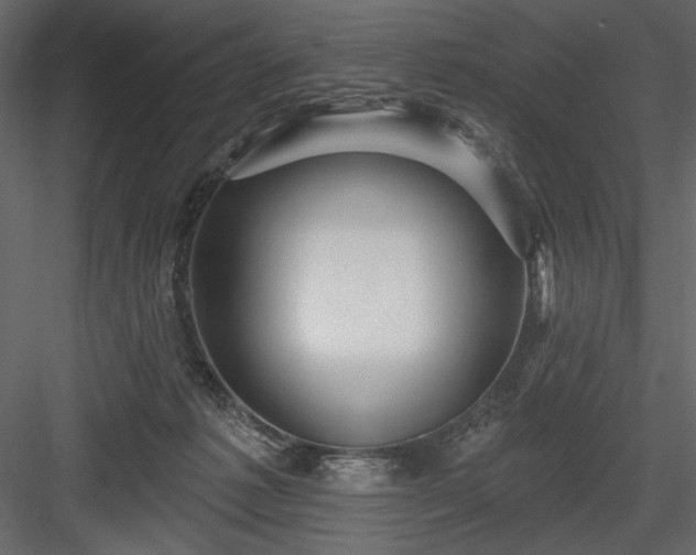 X0000084020221200702232240