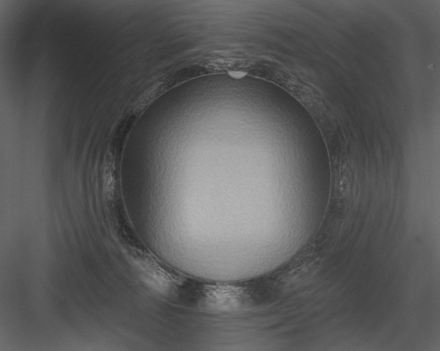 X0000084020226200702232240