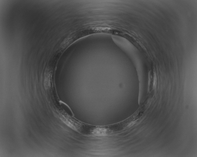 X0000084020227200702232240