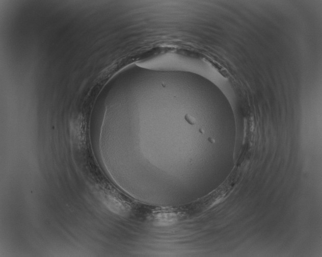 X0000084020228200702232240