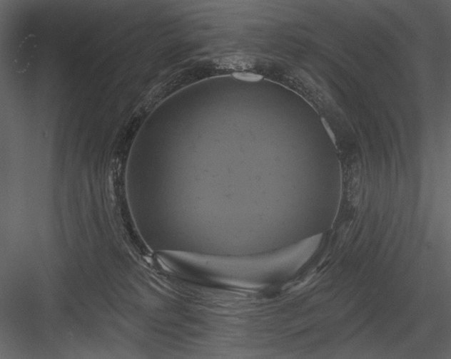 X0000084020229200702232240