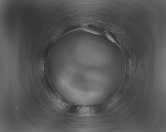 X0000084020230200702232240