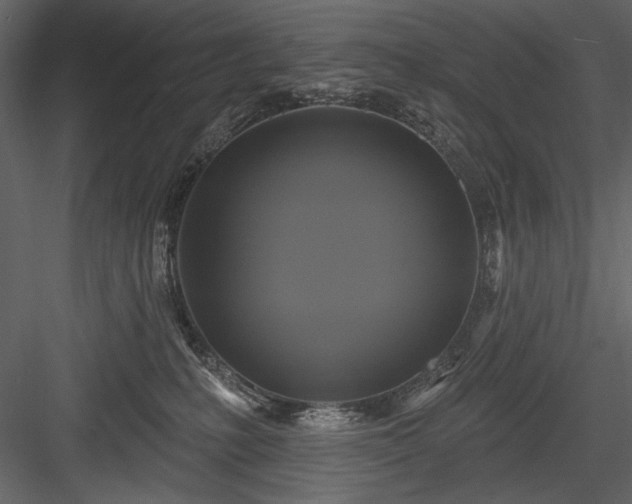 X0000084020231200702232240