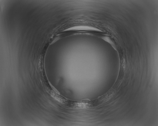 X0000084020233200702232240