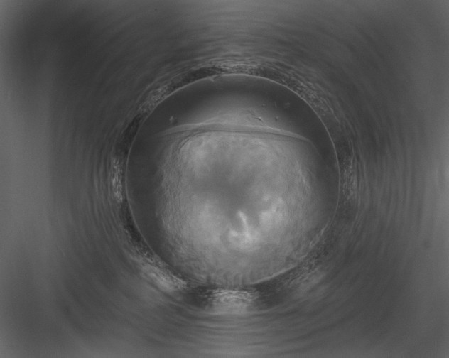 X0000084020234200702232240