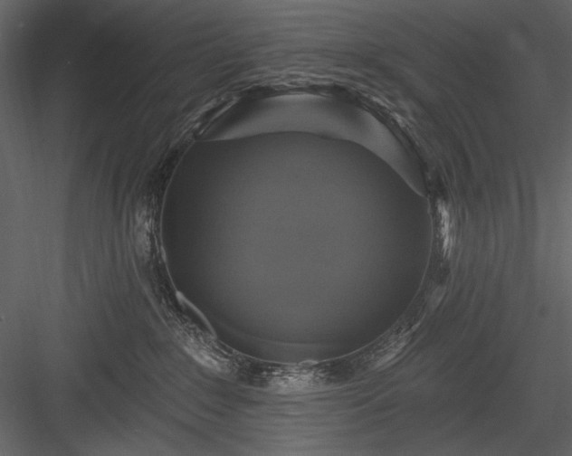 X0000084020235200702232240