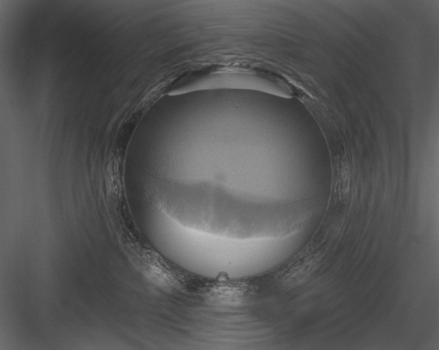 X0000084020236200702232240