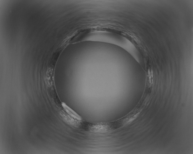 X0000084020237200702232240