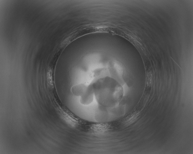 X0000084020238200702232240