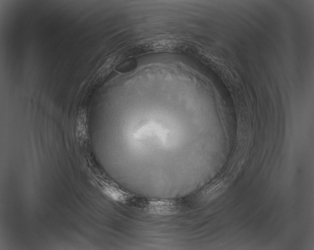 X0000084020240200702232240