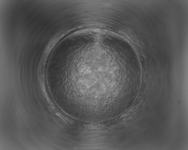 X0000084020241200702232239