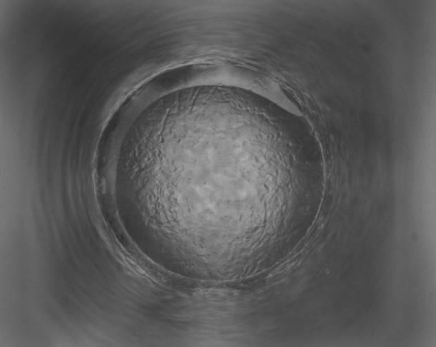 X0000084020242200702232239