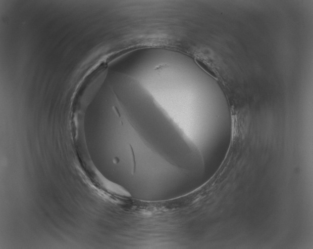 X0000084020243200702232239