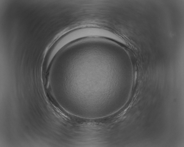 X0000084020244200702232239