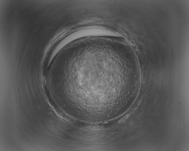 X0000084020245200702232239