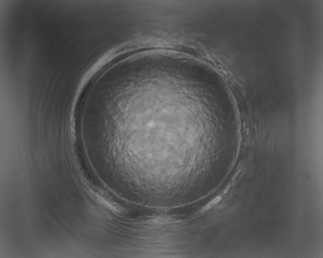 X0000084020246200702232239