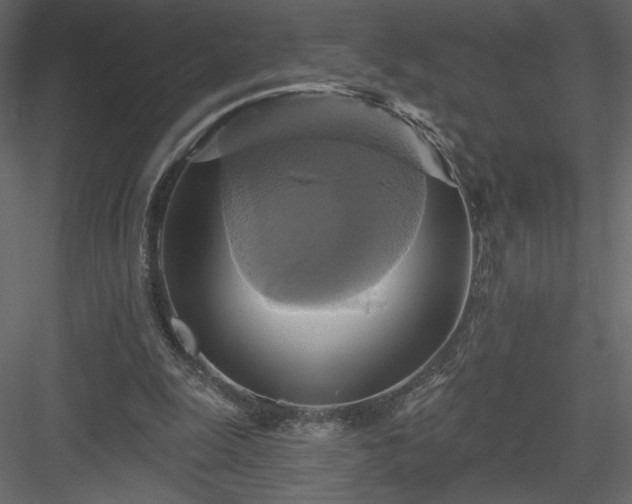 X0000084020247200702232239