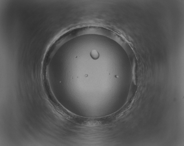 X0000084020248200702232239