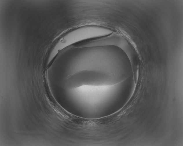 X0000084020249200702232239