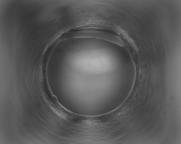 X0000084020250200702232239