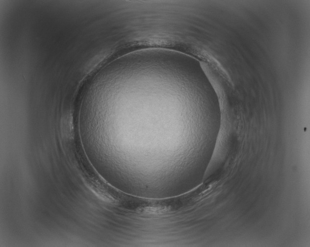 X0000084020251200702232239