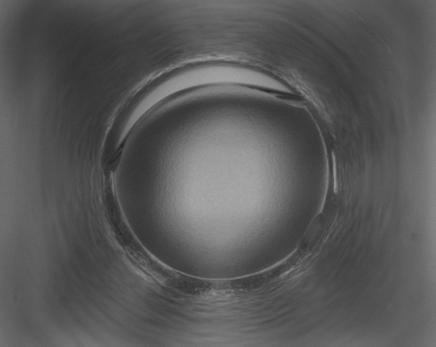 X0000084020252200702232239