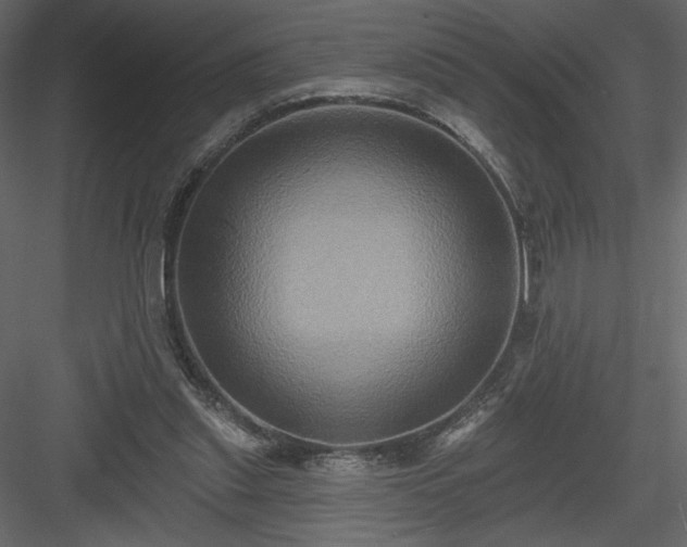 X0000084020253200702232239