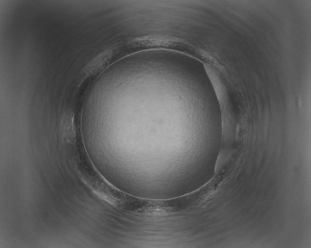 X0000084020254200702232239