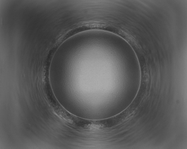 X0000084020255200702232239