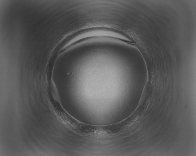 X0000084020256200702232239