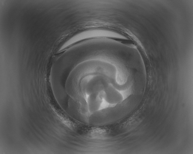 X0000084020257200702232239