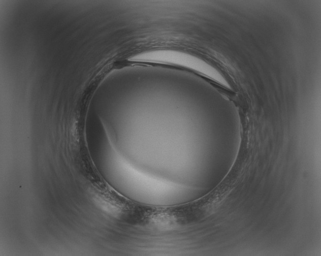 X0000084020258200702232239