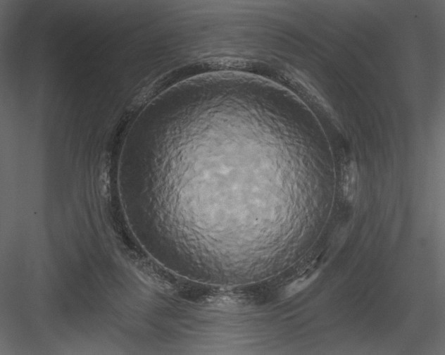 X0000084020259200702232239