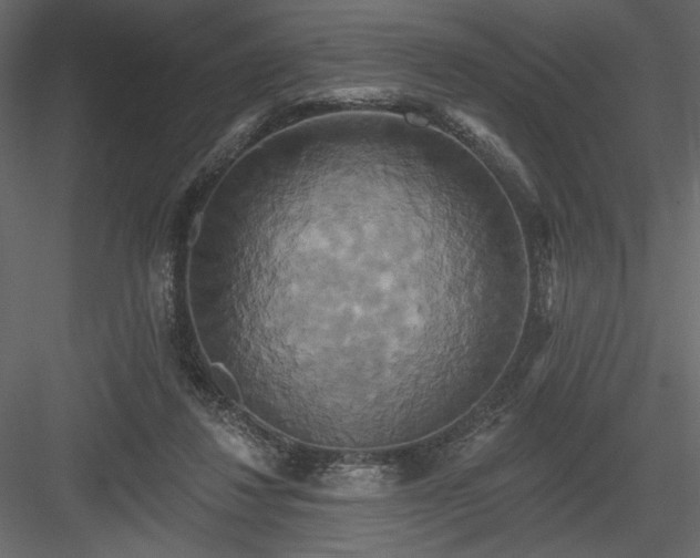 X0000084020260200702232239