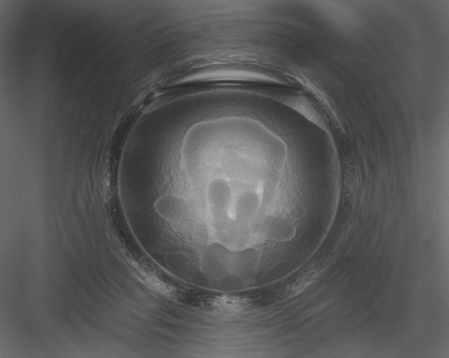 X0000084020261200702232239