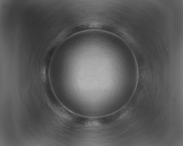 X0000084020262200702232239