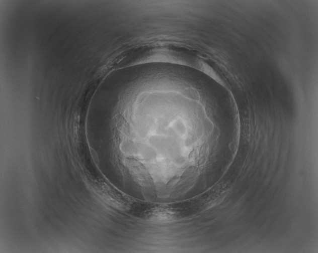 X0000084020263200702232239