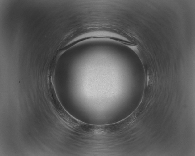 X0000084020264200702232239