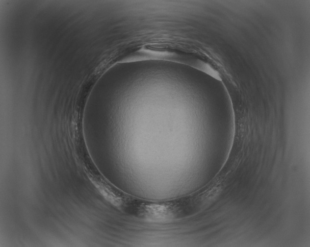 X0000084020265200702232239