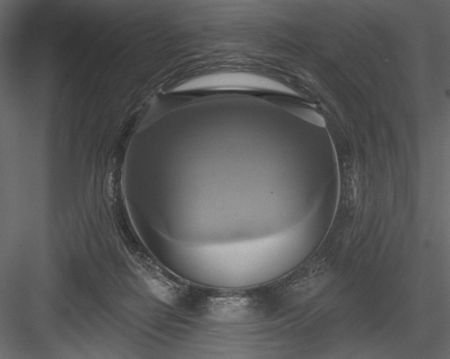 X0000084020266200702232239