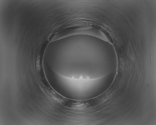 X0000084020267200702232239