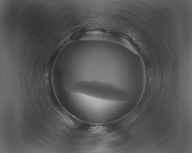 X0000084020269200702232239