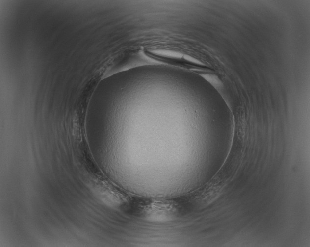 X0000084020270200702232240