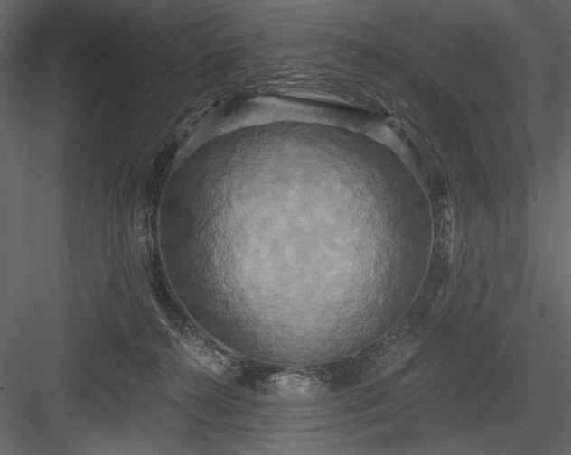 X0000084020272200702232240